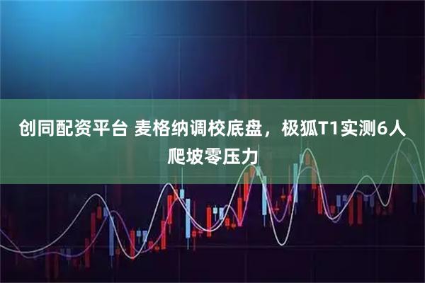 创同配资平台 麦格纳调校底盘，极狐T1实测6人爬坡零压力