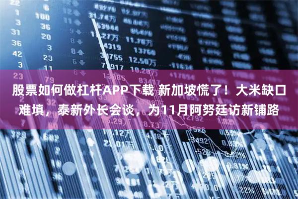 股票如何做杠杆APP下载 新加坡慌了！大米缺口难填，泰新外长会谈，为11月阿努廷访新铺路