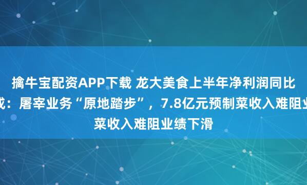 擒牛宝配资APP下载 龙大美食上半年净利润同比降近四成：屠宰业务“原地踏步”，7.8亿元预制菜收入难阻业绩下滑