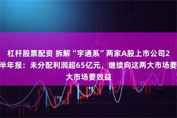 杠杆股票配资 拆解“宇通系”两家A股上市公司2025半年报：未分配利润超65亿元，继续向这两大市场要效益