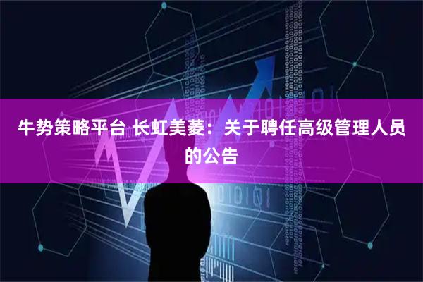 牛势策略平台 长虹美菱：关于聘任高级管理人员的公告